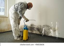 Best Mold Remediation for Healthcare Facilities  in USA